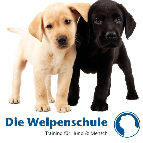 die welpenschule